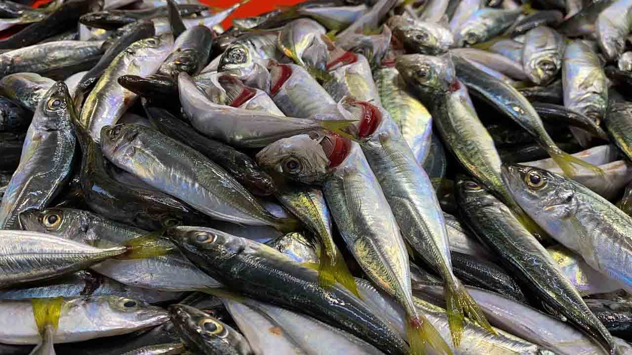 Foto - Uzman isim püf noktalarını paylaştı: Balık seçiminde doğru bilinen yanlış