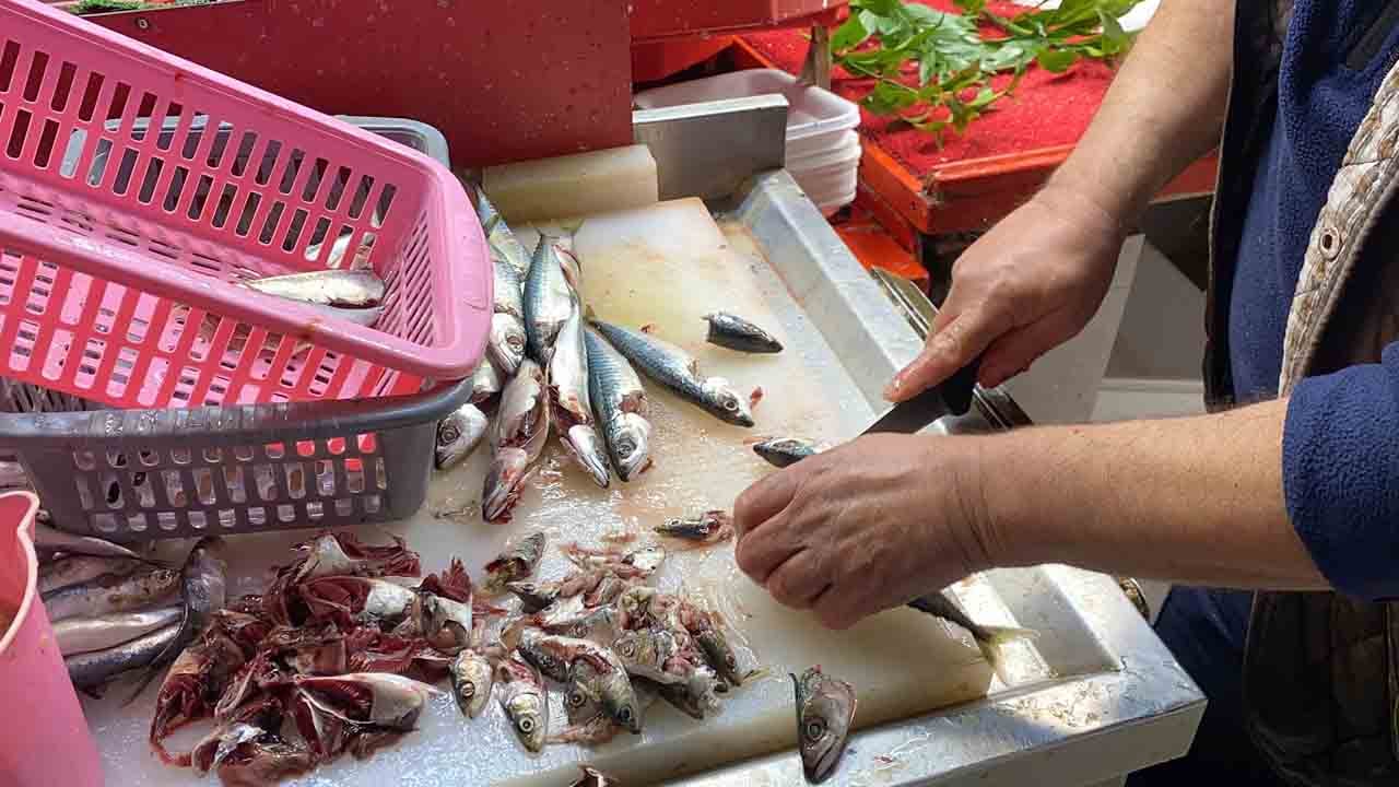 Foto - Uzman isim püf noktalarını paylaştı: Balık seçiminde doğru bilinen yanlış