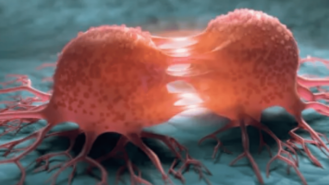 Foto - Uzman isim tek tek saydı: Kanserde, 'Neoadjuvan Tedavinin' başlıca 5 avantajı