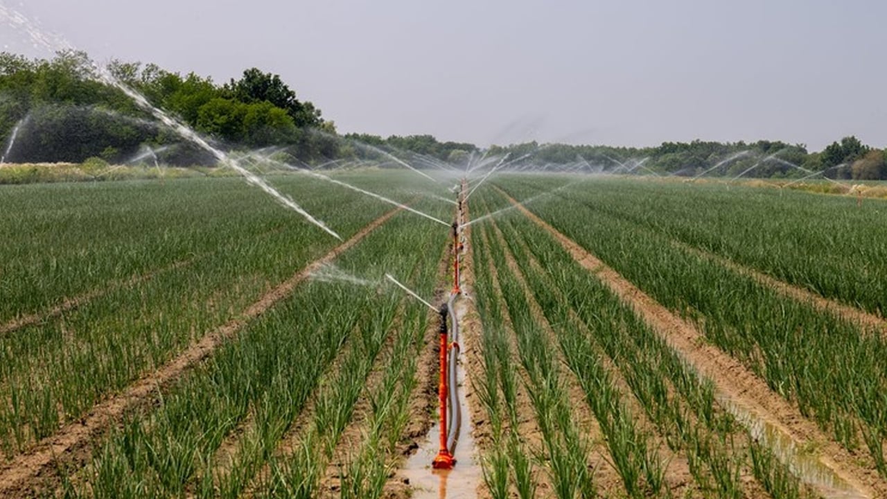 Foto - Bazı ürünler gelecekte su yetersizliği yüzünden verimi yüzde 40'a kadar düşürebilir! O isim uyardı