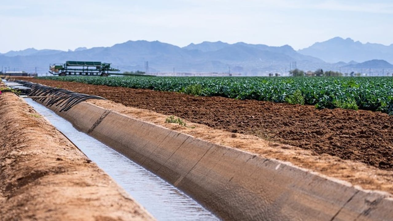 Foto - Bazı ürünler gelecekte su yetersizliği yüzünden verimi yüzde 40'a kadar düşürebilir! O isim uyardı