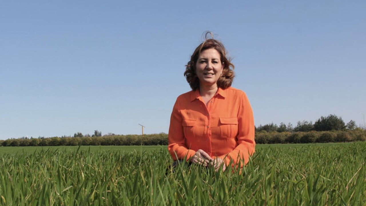 Foto - Bazı ürünler gelecekte su yetersizliği yüzünden verimi yüzde 40'a kadar düşürebilir! O isim uyardı