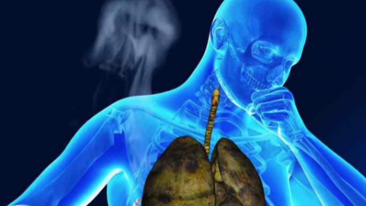 Foto - Uzman isim uyardı: KOAH’ta en büyük risk sigara! En büyük risk ortada...