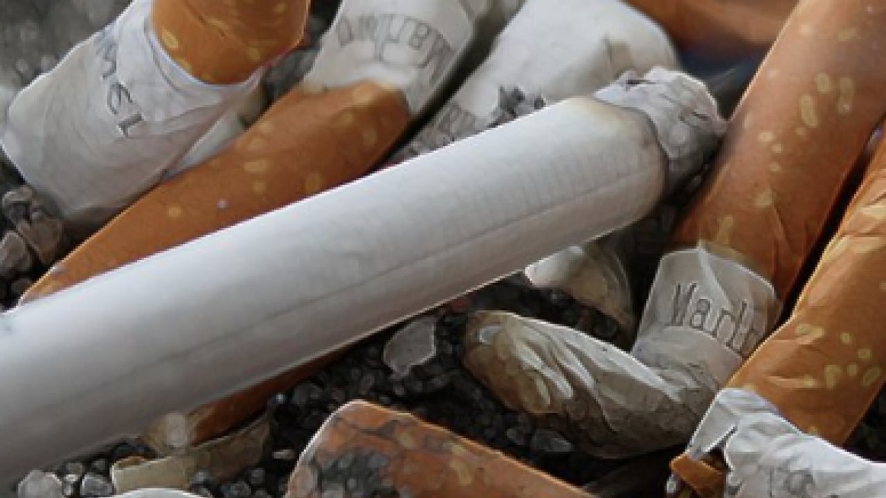 Foto - Uzman isim uyardı: KOAH’ta en büyük risk sigara! En büyük risk ortada...