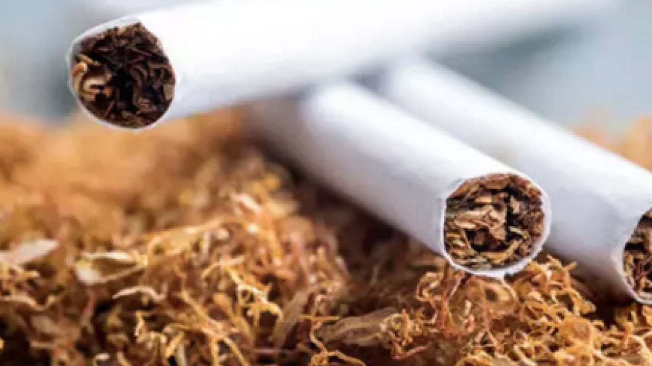 Foto - Uzman isim uyardı: KOAH’ta en büyük risk sigara! En büyük risk ortada...