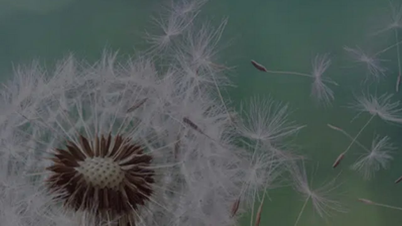 Foto - Uzman isim uyardı ve her şeyi tek tek anlattı! Gözlerde sulanma, kızarma, yorgunluk...