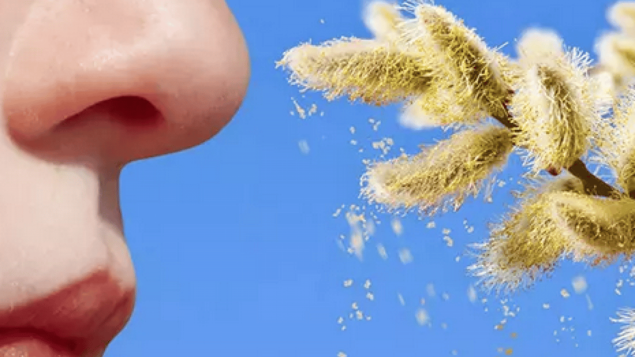 Foto - Uzman isim uyardı ve her şeyi tek tek anlattı! Gözlerde sulanma, kızarma, yorgunluk...