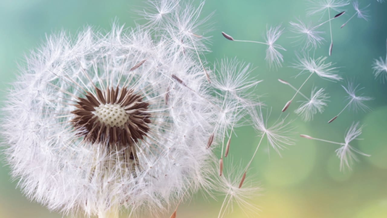 Foto - Uzman isim uyardı ve her şeyi tek tek anlattı! Gözlerde sulanma, kızarma, yorgunluk...
