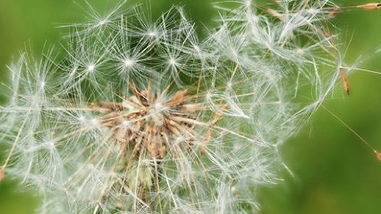Foto - Uzman isim uyardı ve her şeyi tek tek anlattı! Gözlerde sulanma, kızarma, yorgunluk...