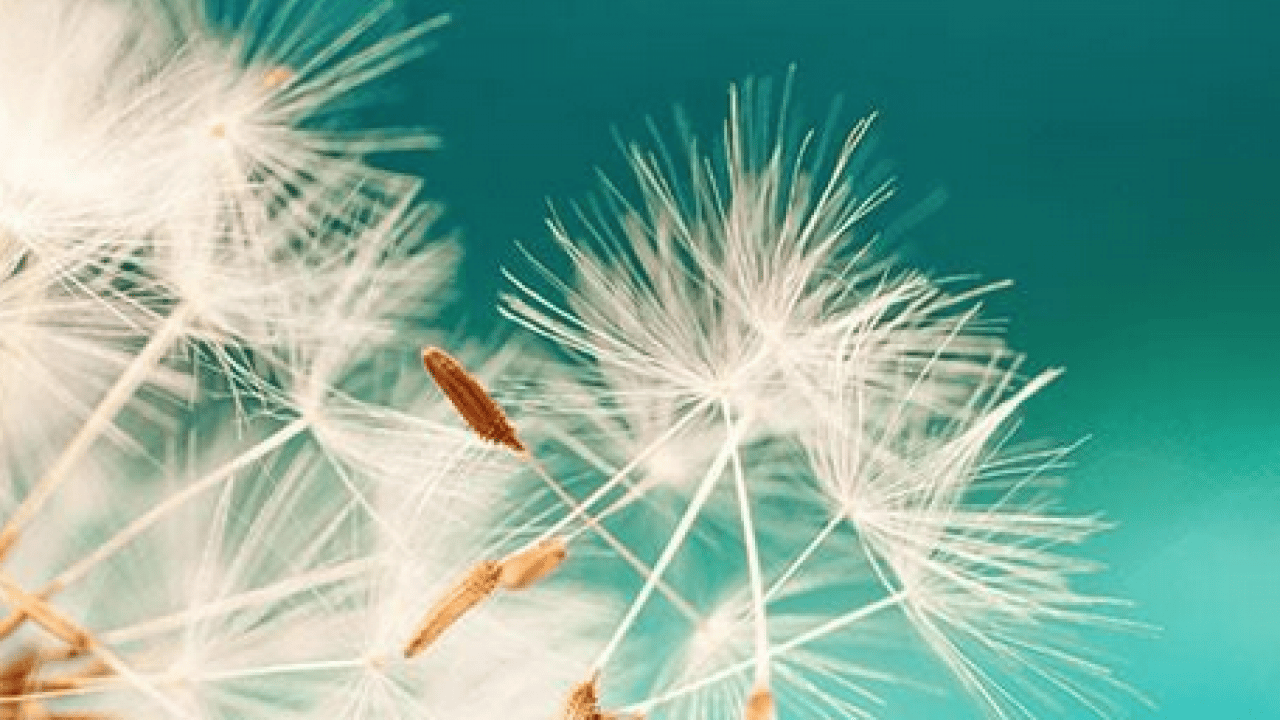 Foto - Uzman isim uyardı ve her şeyi tek tek anlattı! Gözlerde sulanma, kızarma, yorgunluk...