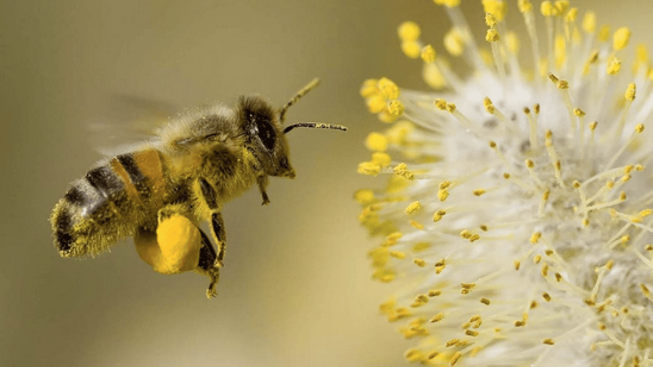 Foto - Uzman isim uyardı ve her şeyi tek tek anlattı! Gözlerde sulanma, kızarma, yorgunluk...