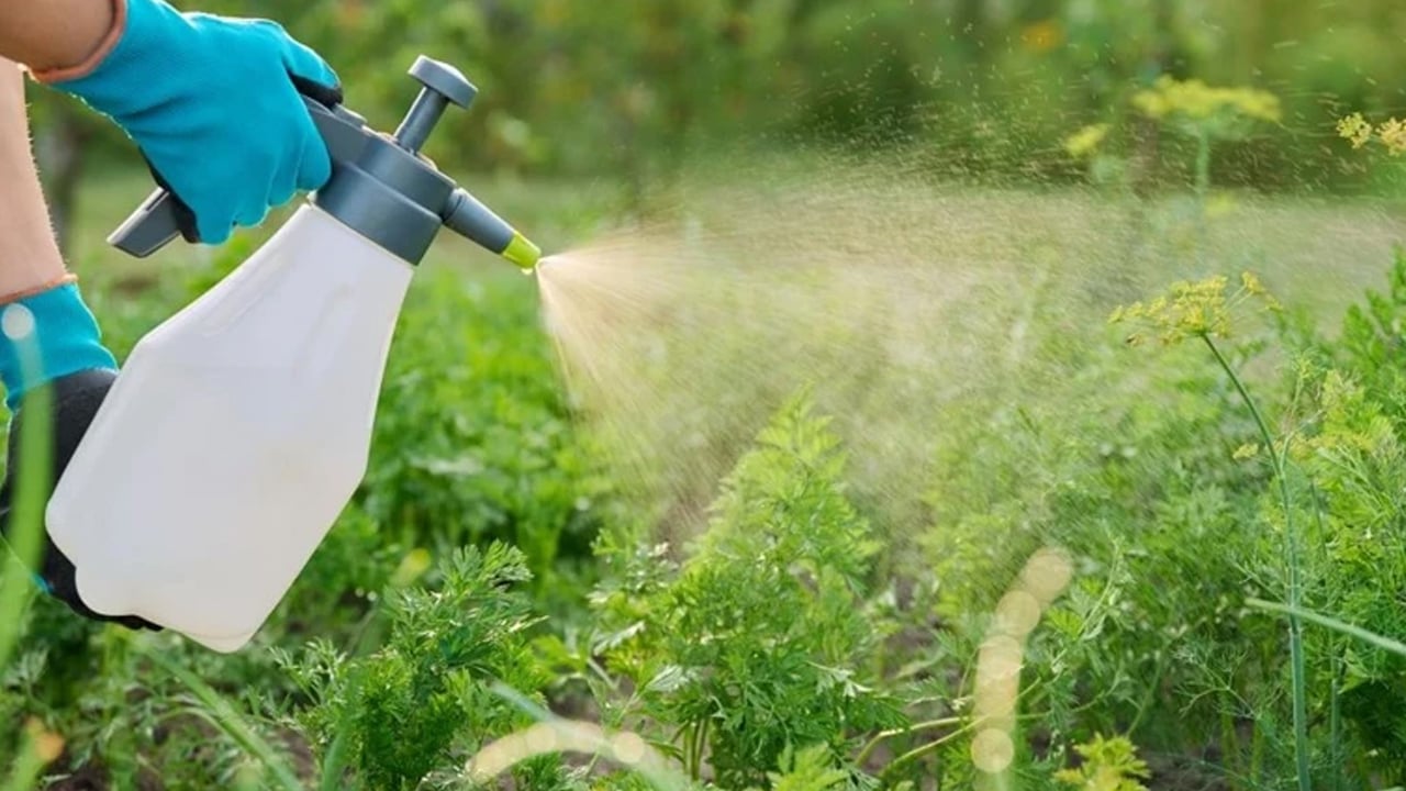 Foto - Uzman isim: Uzun yaşam konusunda uyarı yaptı! Uyku için 10 sır... Yoğun çaba gösterip şikayet edenler bunu yapıyor