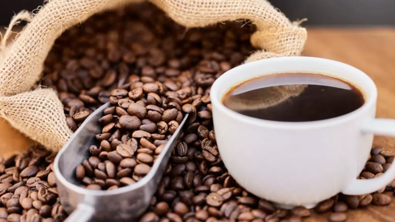 Foto - Bunu da araştırmacılar önerdi... En sağlıklı içecekler belli oldu: Gerçek bir şoka hazır olun