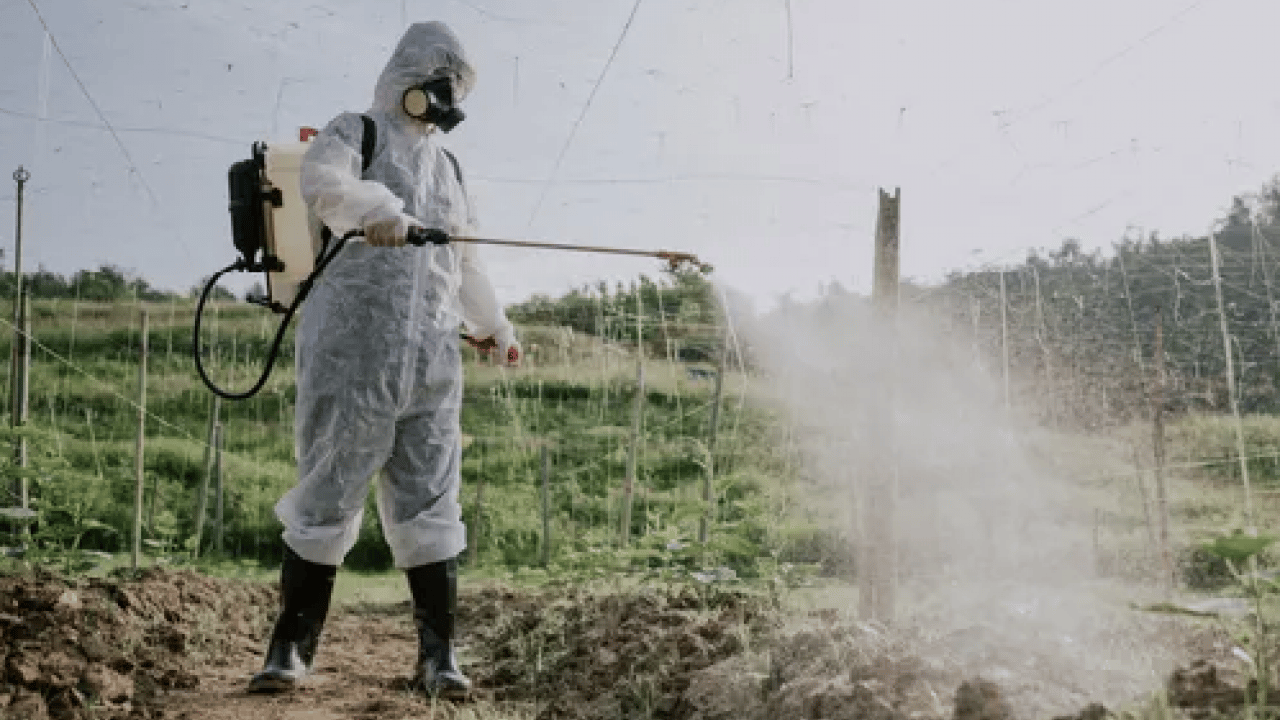 Foto - Uzmana kulak verin: Hastalıkların gizli kaynağı! Pestisitlerden kurtulmanın formülü: 1 litre suya 5 kaşık...