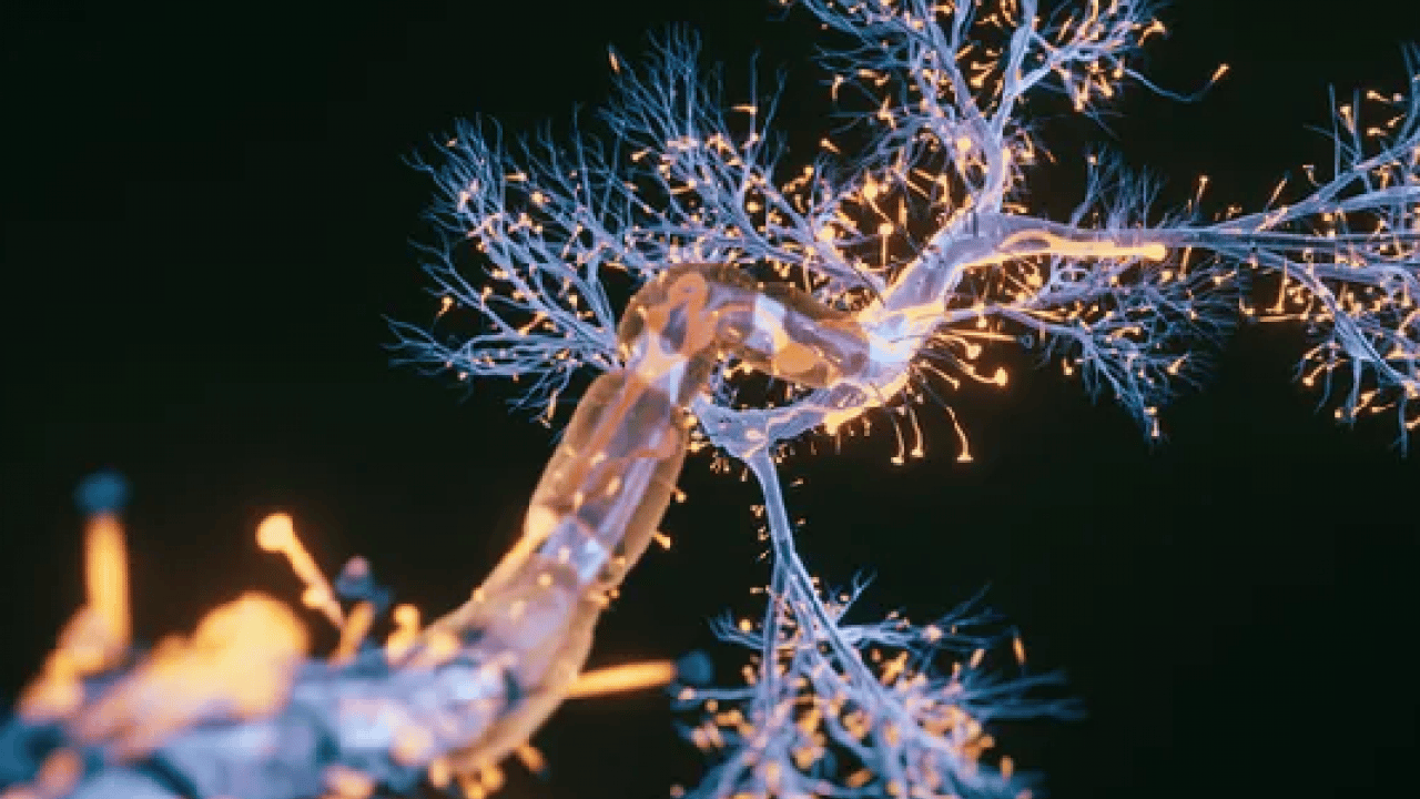 Foto - Uzmana kulak verin: Hastalıkların gizli kaynağı! Pestisitlerden kurtulmanın formülü: 1 litre suya 5 kaşık...