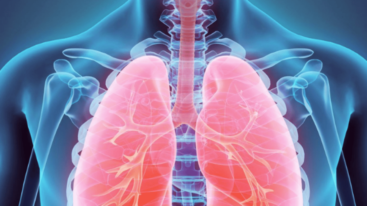 Foto - Uzmandan kronik akciğer hastalarına 'hareket' çağrısı! Pulmoner rehabilitasyon ile destek...