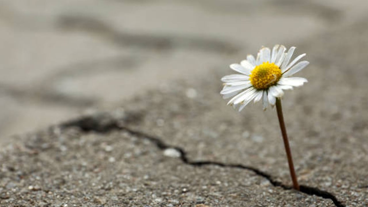 Foto - Uzmanı yarar olmayacağını söyledi, tüyo verdi! Yeni yıl bir mucize değil, umudunuzu büyük tutun! Uzmanından uyarı 