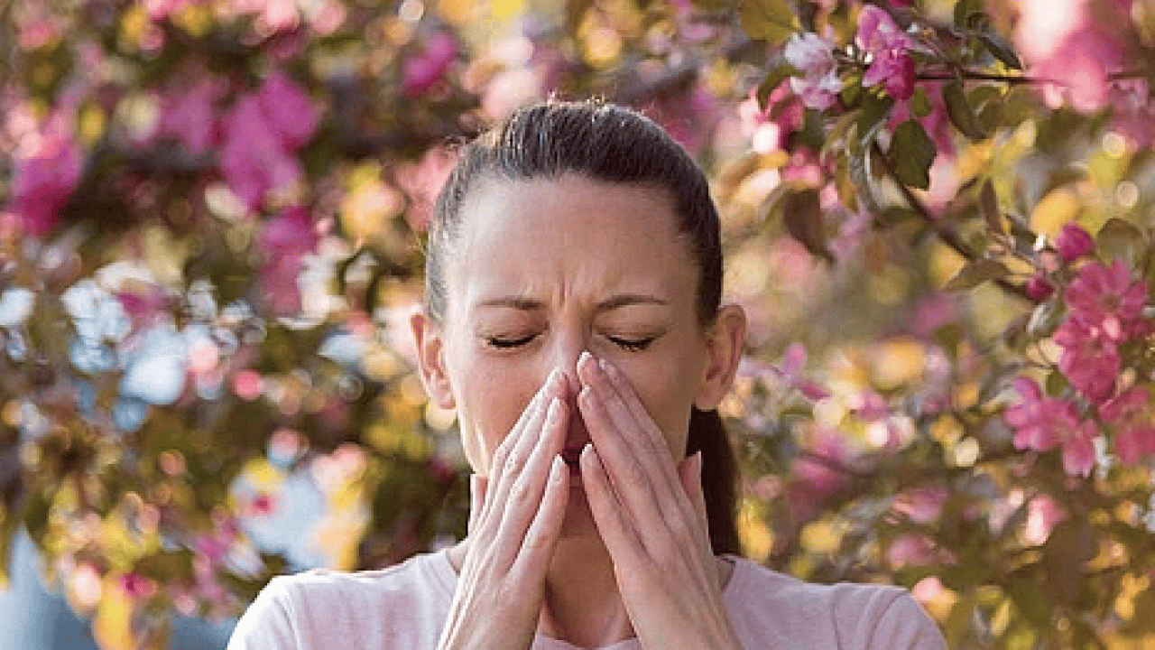 Uzmanından bahar aylarında artan polen alerjisine karşı uyarı! O saatlere dikkat