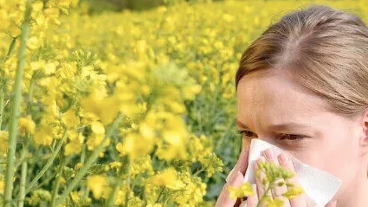 Foto - Uzmanından bahar aylarında artan polen alerjisine karşı uyarı! O saatlere dikkat