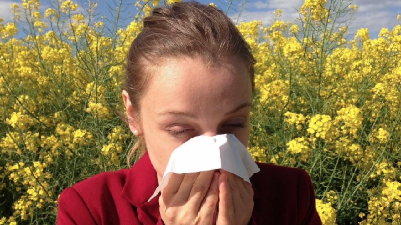 Foto - Uzmanından bahar aylarında artan polen alerjisine karşı uyarı! O saatlere dikkat