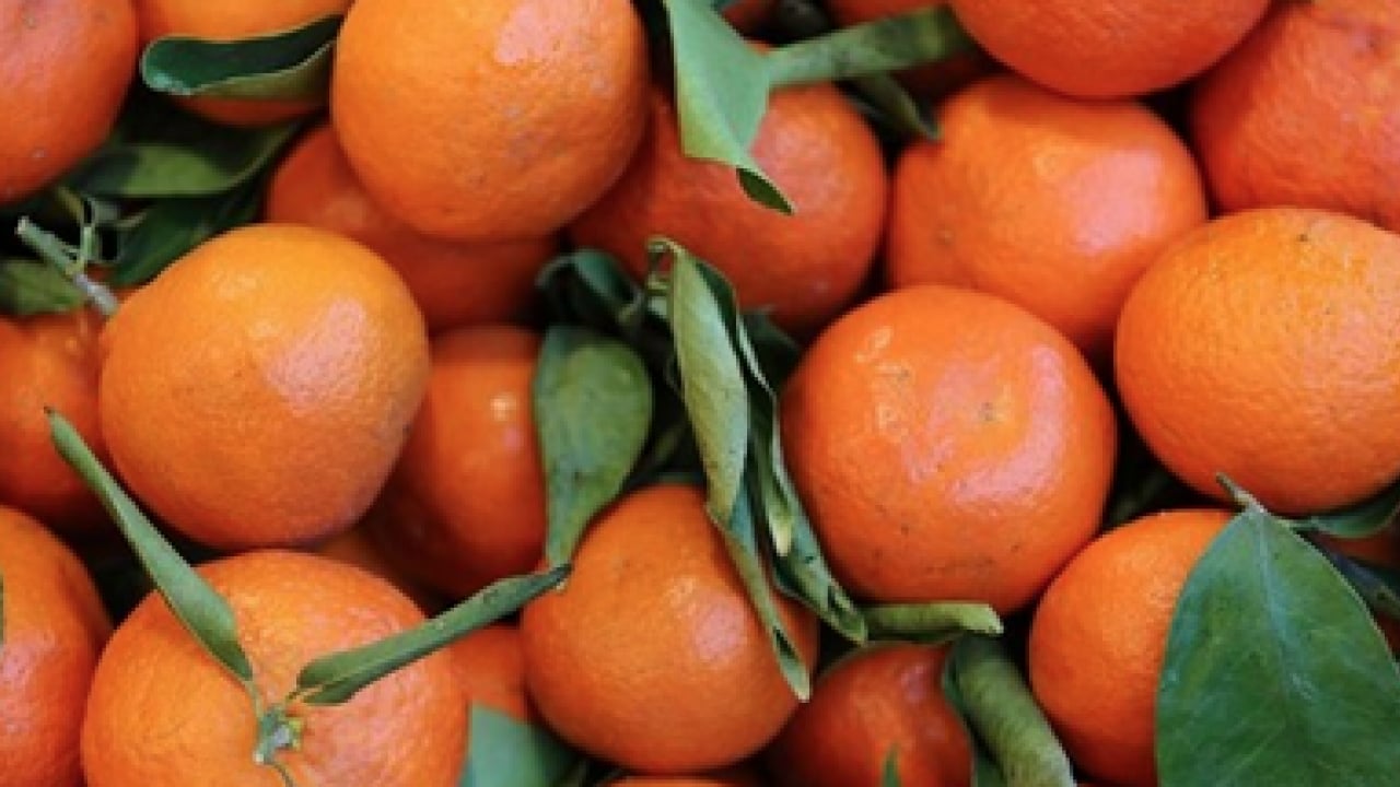 Foto - Uzmanından demir eksikliğine karşı beslenme önerisi! Mutlaka bu metotlar uygulanmalı...