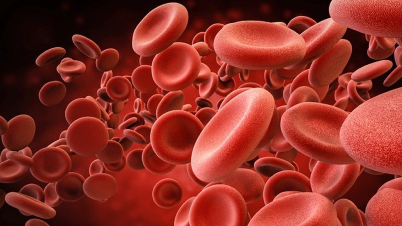 Foto - Uzmanından dikkat çeken uyarı! Annedeki o sorun bebeğinde hemofiliye yol açabiliyor