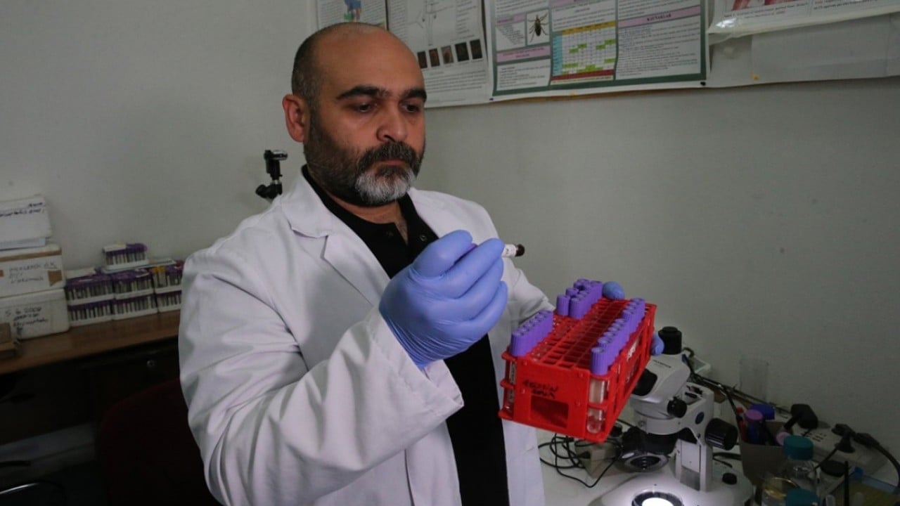 Foto - Uzmanından kene uyarısı! Panik yapmayın, hemen çıkarın 
