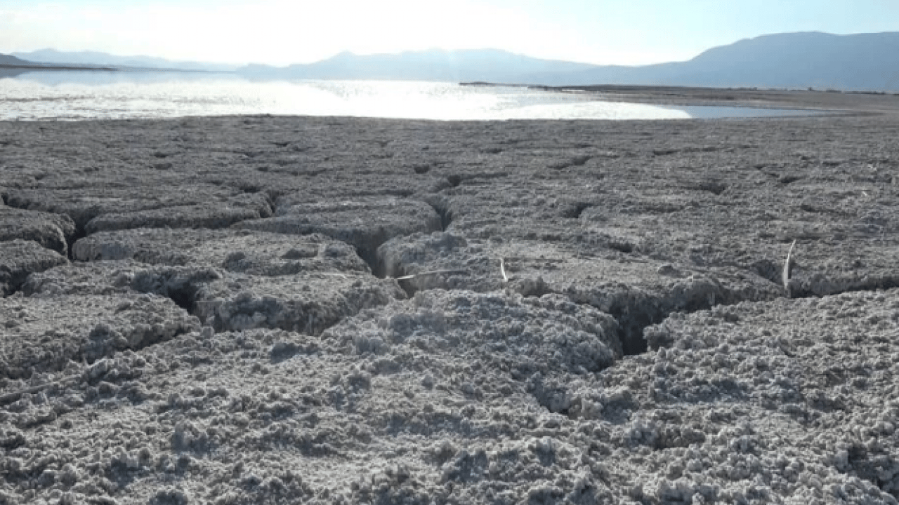 Foto - Uzmanından korkutan uyarı! 10 yıl sonra tükenebilir
