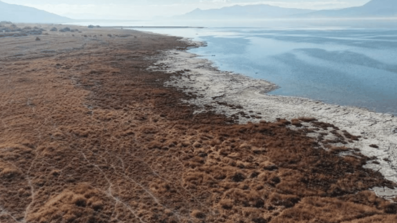 Uzmanından korkutan uyarı! 10 yıl sonra tükenebilir