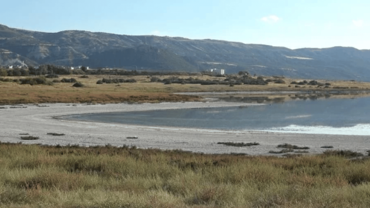 Foto - Uzmanından korkutan uyarı! 10 yıl sonra tükenebilir