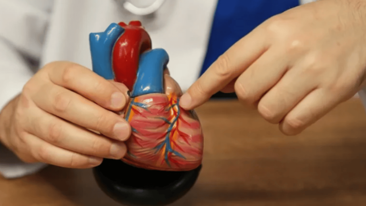 Foto - Uzmanından kritik uyarı: Susuz kalan beyinde iletişim yavaşlıyor! İhmal edilirse demansa yol açabilir