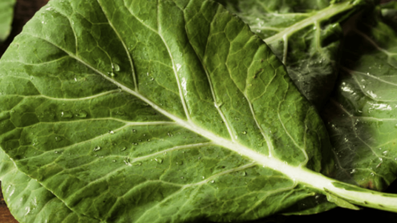 Foto - Uzmanından uyarı geldi... Kemik erimesine karşı doğal kalkan kara lahana mı?