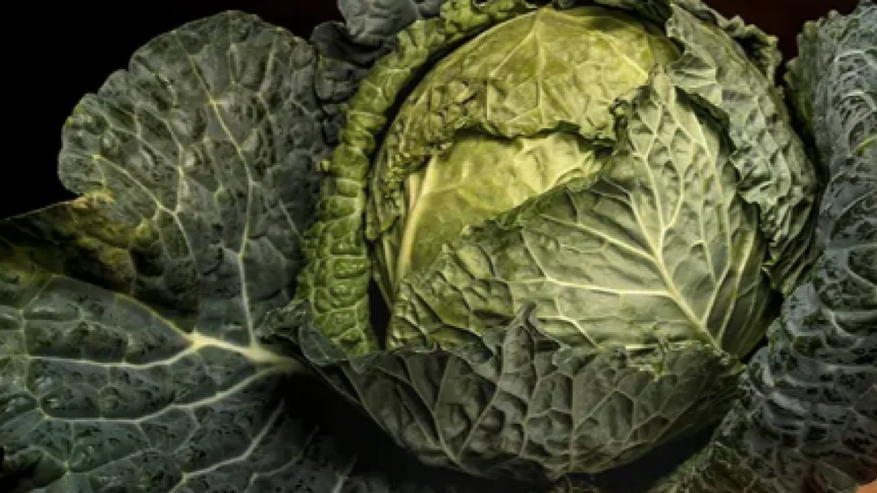 Foto - Uzmanından uyarı geldi... Kemik erimesine karşı doğal kalkan kara lahana mı?