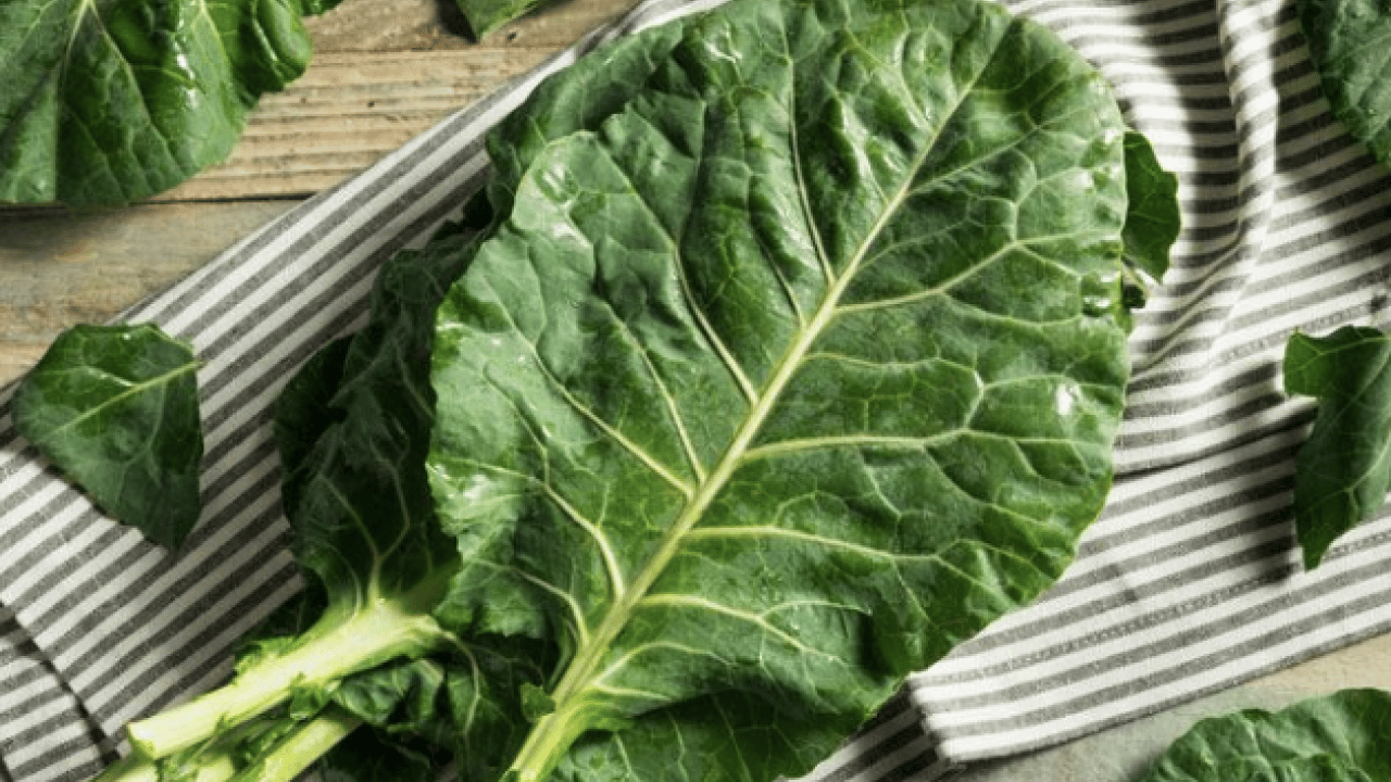 Foto - Uzmanından uyarı geldi... Kemik erimesine karşı doğal kalkan kara lahana mı?