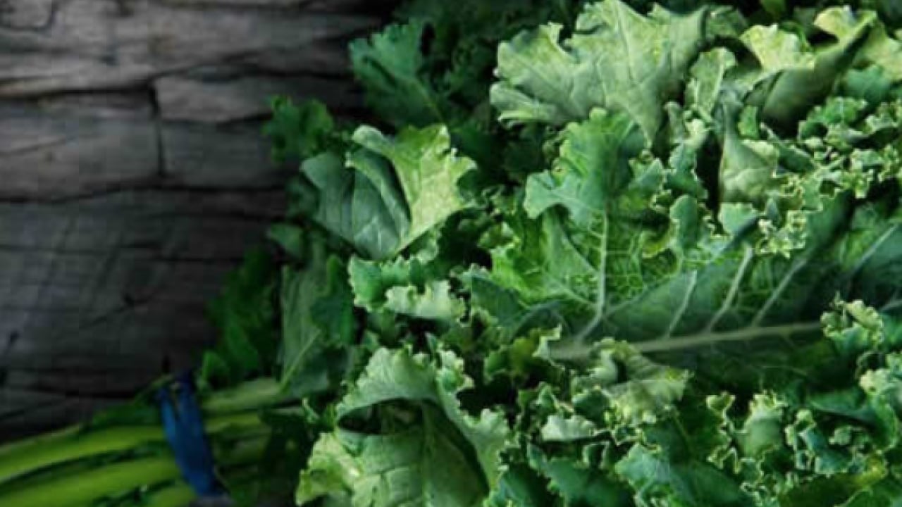 Foto - Uzmanından uyarı geldi... Kemik erimesine karşı doğal kalkan kara lahana mı?