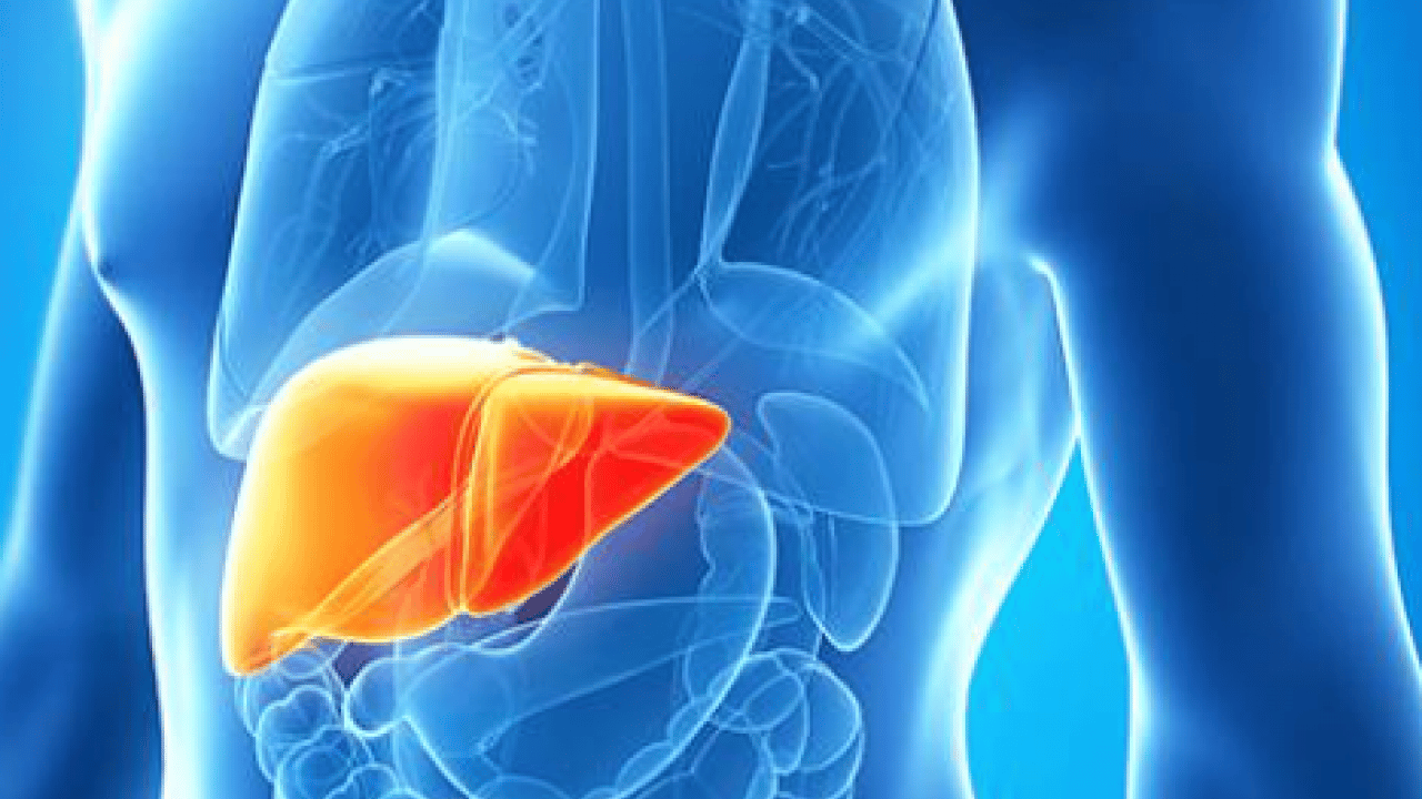 Uzmanlar açıkladı! Karaciğer yağlanması belirtileri nelerdir? Karaciğer yağlanması nasıl geçer ve ne iyi gelir