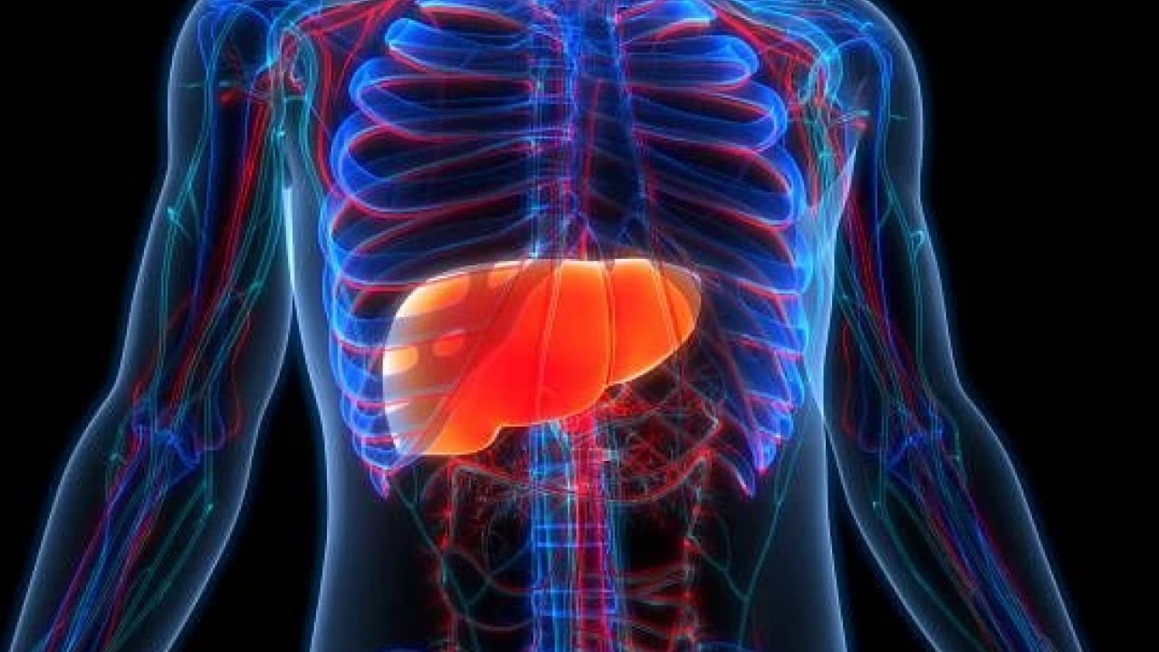 Foto - Uzmanlar açıkladı! Karaciğer yağlanması belirtileri nelerdir? Karaciğer yağlanması nasıl geçer ve ne iyi gelir