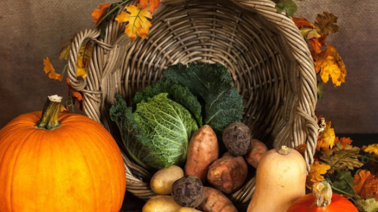 Foto - Uzmanlar açıkladı! Kış boyu hastalıklardan korunmanın doğal yolları