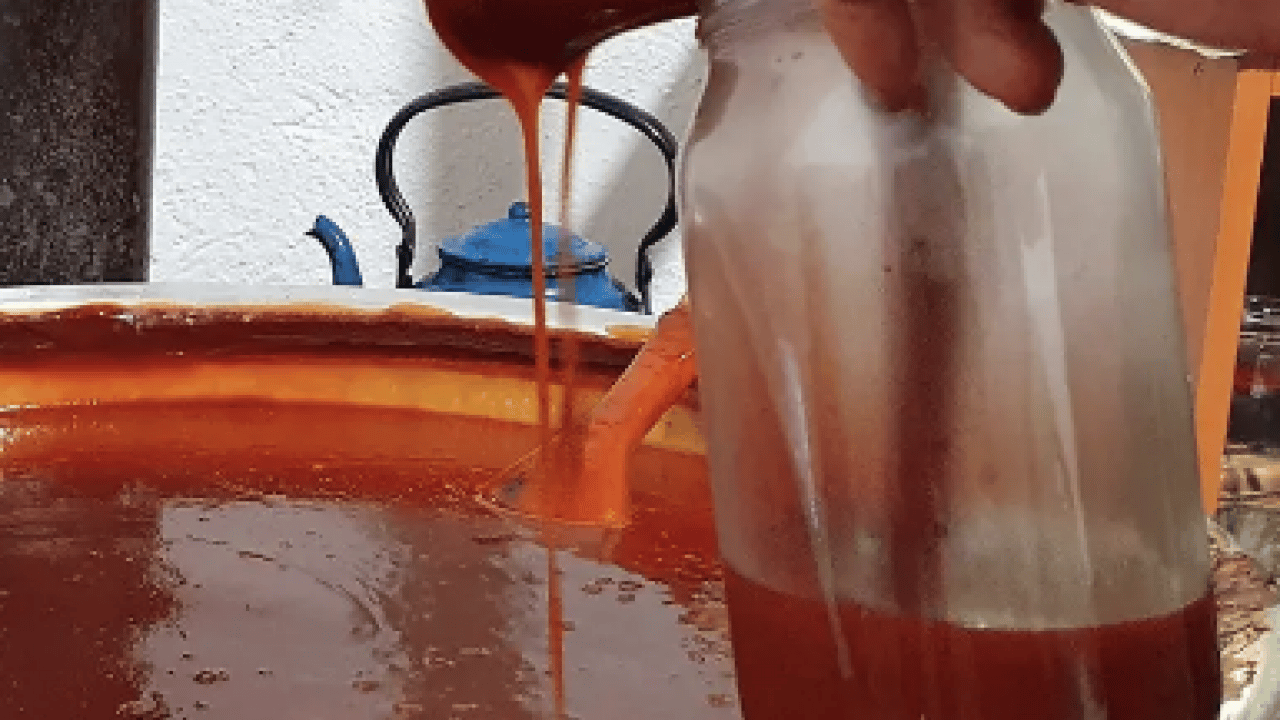 Foto - Uzmanlar boşuna konuşmuyor... Portakaldan 7 kat faydalı: C vitamini zengini, kan şekeri ilacı