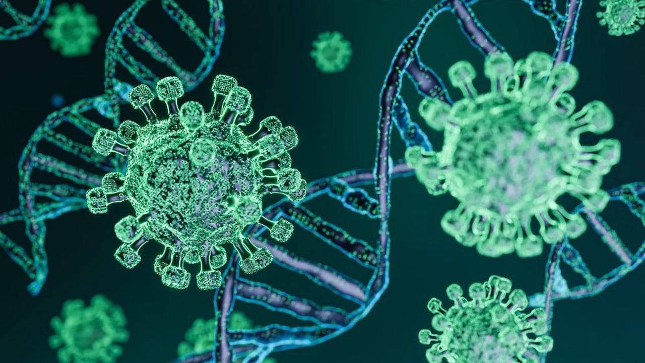  Uzmanlar H3N2 Grip virüsünün yeni alt türü yayılmaya başladı diyerek uyardı