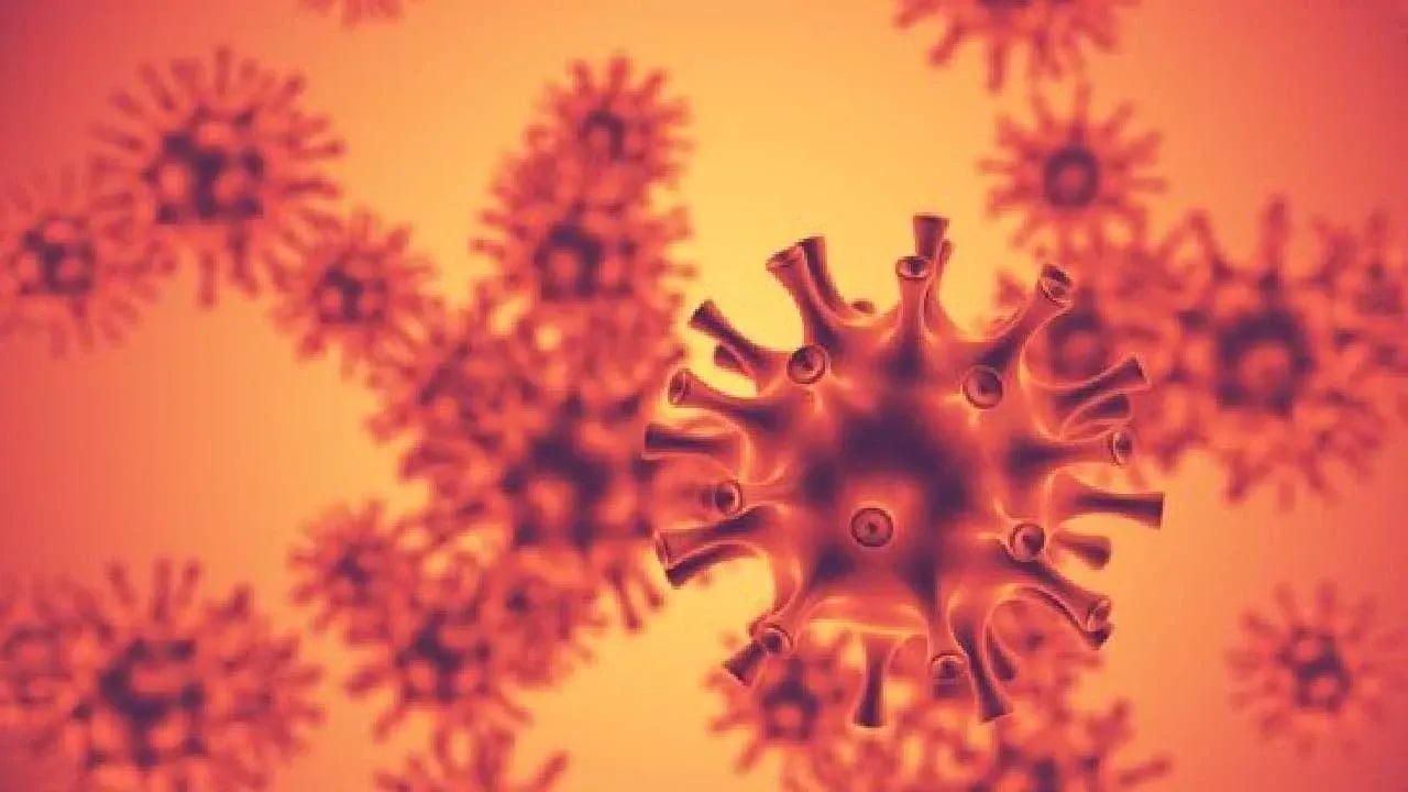 Foto - Uzmanlar H3N2 Grip virüsünün yeni alt türü yayılmaya başladı diyerek uyardı