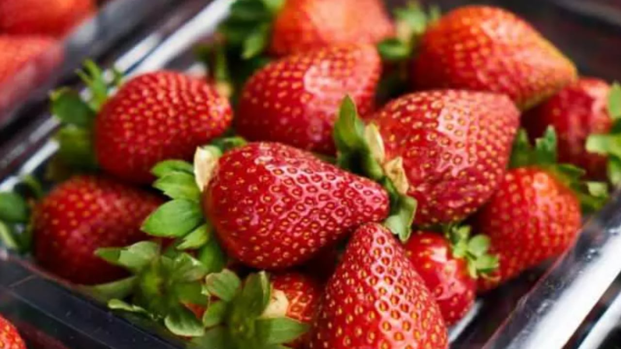 Foto - Uzmanlar her gün tüketin diyor: Bu sebzeler zihni gençleştiriyor!