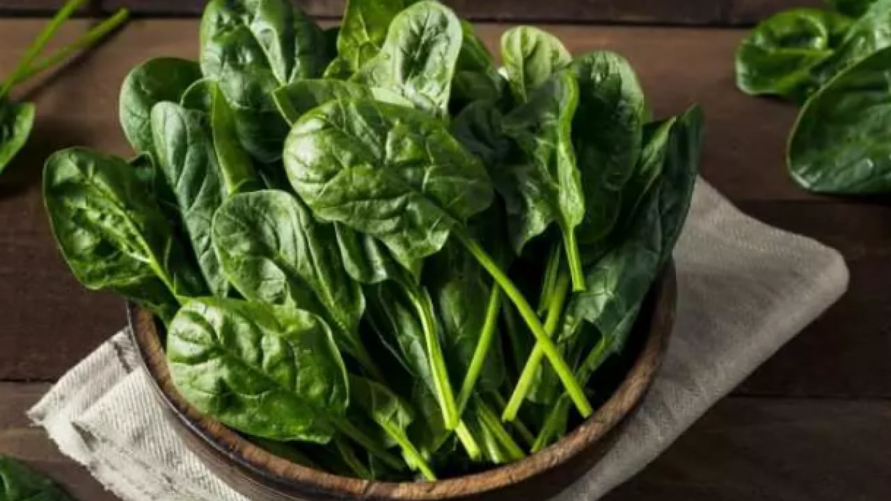 Foto - Uzmanlar her gün tüketin diyor: Bu sebzeler zihni gençleştiriyor!