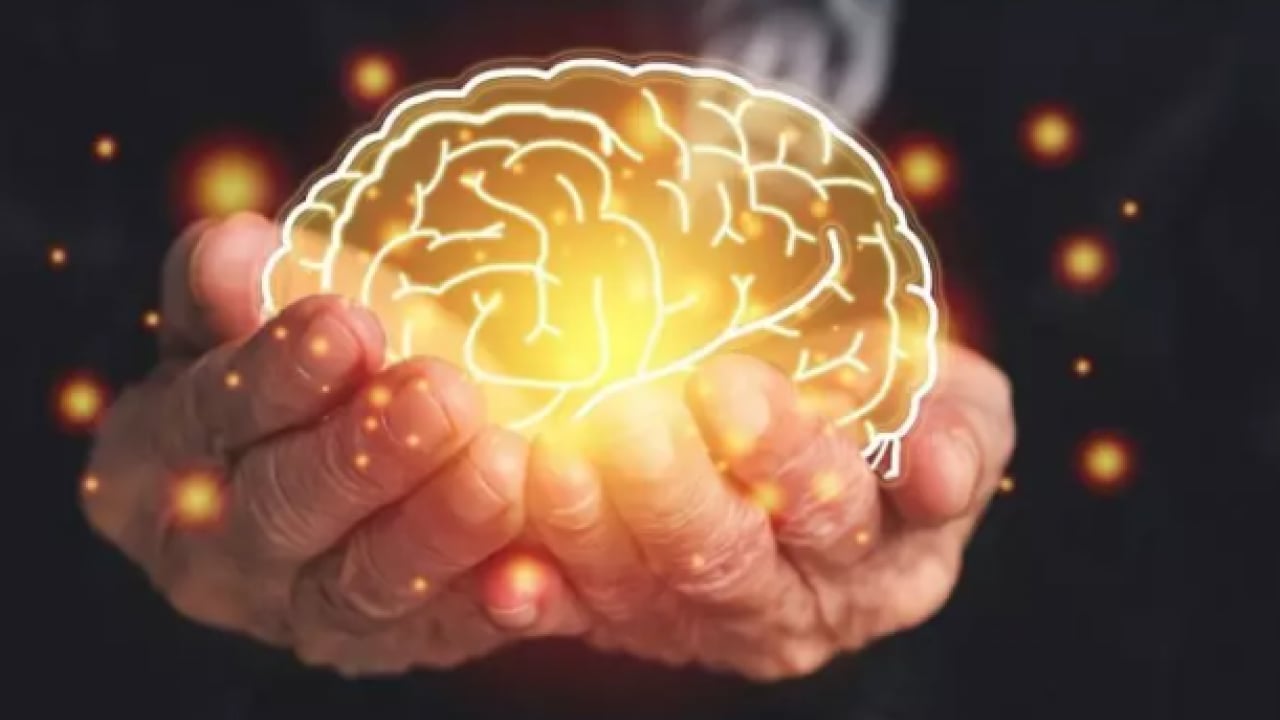 Foto - Uzmanlar her gün tüketin diyor: Bu sebzeler zihni gençleştiriyor!