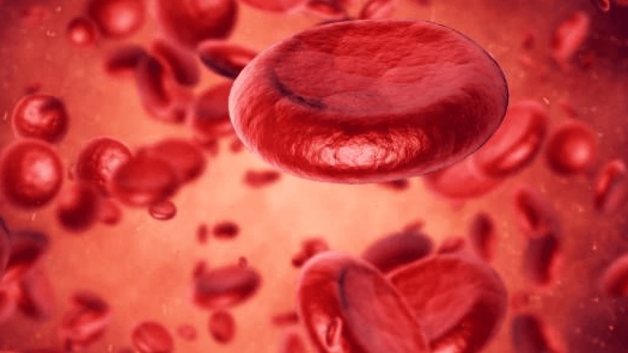 Foto - Uzmanlar merak edilen soruları cevapladı! Sürekli halsizlik neden olur ve nasıl geçer