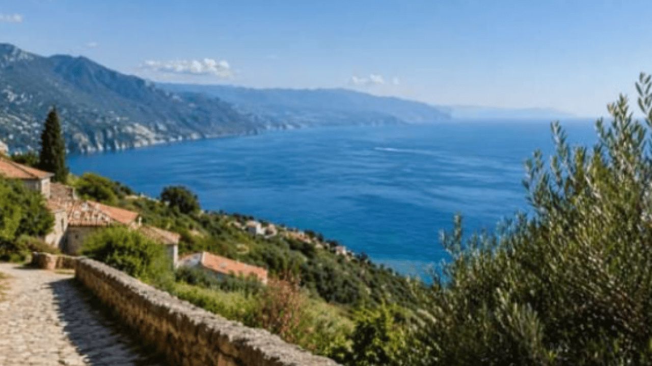 Foto - Uzmanlar mutlaka tüketin diyor! 100 yaşını aşanların ortak sırrı