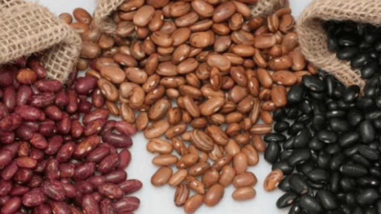 Uzmanlar mutlaka tüketin diyor! 100 yaşını aşanların ortak sırrı