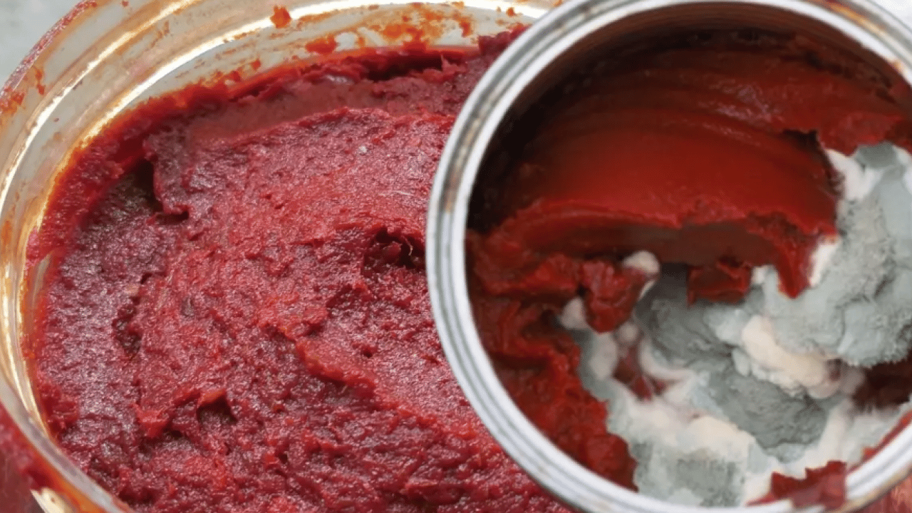 Uzmanlar sırrını açıkladı! Salçanın aylarca küflenmemesini sağlayan doğal yöntem