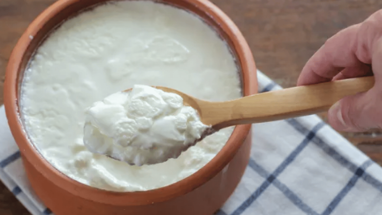 Foto - Uzmanlar son noktayı koydu! Balık ve yoğurt birlikte yenir mi? Sonunda netleşti...