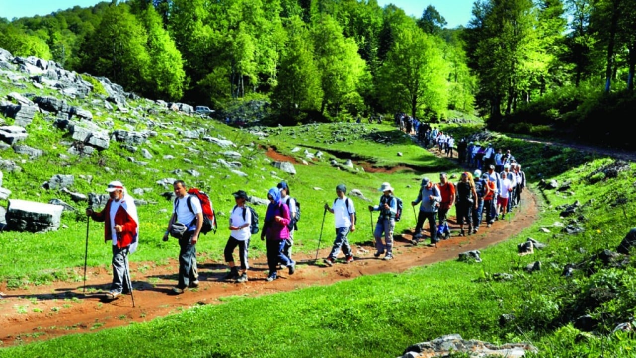 Foto - Uzmanlar uyarıyor risk büyük Yaylaya çıkanların beyinleri tehlikede